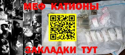 прущие грибы Нальчик
