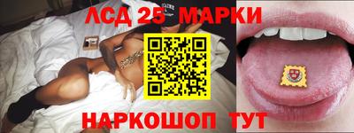 прущие грибы Нальчик