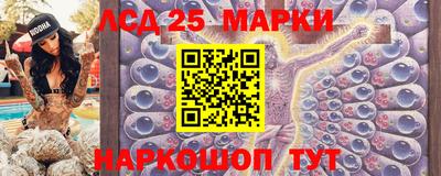 прущие грибы Нальчик