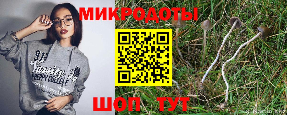 Галлюциногенные грибы Psilocybe  Вход с VPN  Волоколамск  Псилоцибиновые грибы мухоморы 